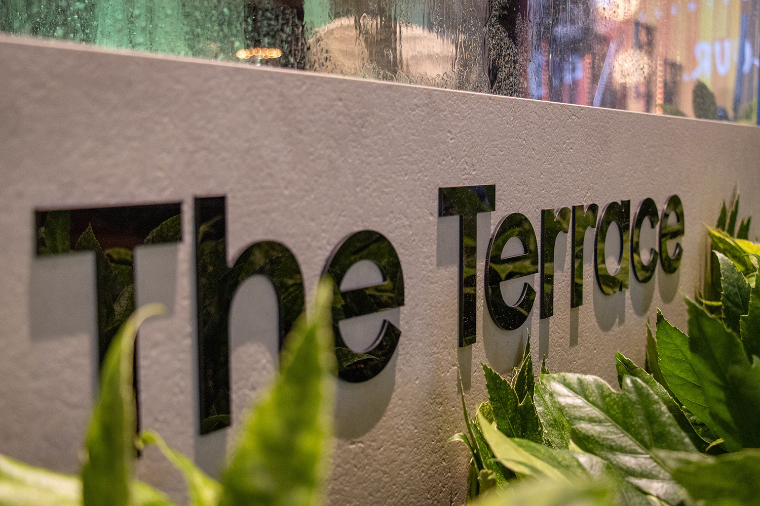 KOP - MASTERS EXPO 2025 - SAMSUNG-THE-TERRACE-3